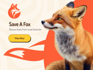 SaveAFox Web Design